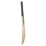 DSC XLITE 25 ENGLISH WILLOW CRICKET BAT 24