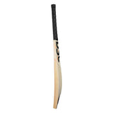 DSC XLITE 25 ENGLISH WILLOW CRICKET BAT 24