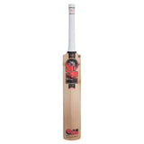 GUNN & MOORE RADON SELECT TTN ENGLISH WILLOW BAT 24
