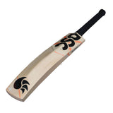 DSC XLITE 25 ENGLISH WILLOW CRICKET BAT 24