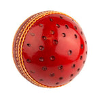 DUKES SPECIAL COACH 156G SWINGER PERFORATED BALL
