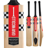 GRAY-NICOLLS SCOOP PRO BALANCE PLAYERS CRICKET BAT