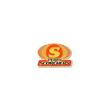 BBL T20 LOGO PIN
