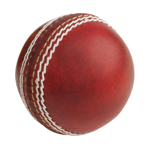 STEEDEN AUTOGRAPH BALL