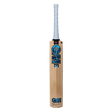 GUNN & MOORE DIAMOND L540 404 TTN ENGLISH WILLOW BAT JUNIOR 24