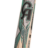 CA GOLD 8000 CRICKET BAT