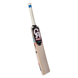CA PRO PERFORMANCE CRICKET BAT