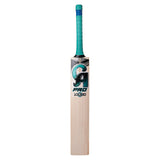 CA PRO 10000 CRICKET BAT