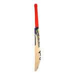 KOOKABURRA BEAST PRO 4.0 CRICKET BAT 2025