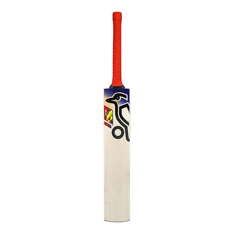 KOOKABURRA BEAST PRO 6.0 JUNIOR CRICKET BAT 2025