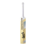 KOOKABURRA GHOST PRO 7.1 CRICKET BAT 2025