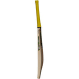 GUNN & MOORE PSYCHE 404 EW JUNIOR CRICKET BAT