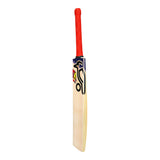 KOOKABURRA BEAST PRO 9.0 JUNIOR CRICKET BAT 2025