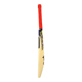 KOOKABURRA BEAST PRO 9.0 JUNIOR CRICKET BAT 2025