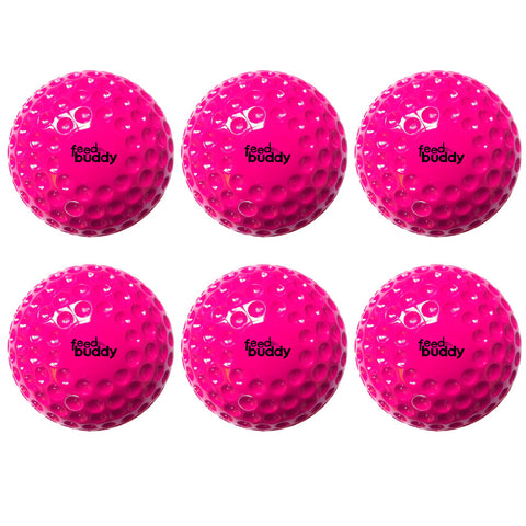 FEED BUDDY LIGHT BALLS (6 Pack)