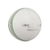 GRAY-NICOLLS CREST SPECIAL 2PCE BALL WHITE 142G