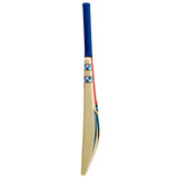 GRAY-NICOLLS GN COLOSSUS PLASTIC CRICKET BAT SHORT HANDLE