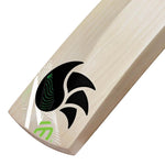 DSC SPLIIT SPEED ENGLISH WILLOW CRICKET BAT 24