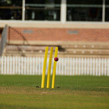 SKLZ CRICKET STUMPS FLEXI SET