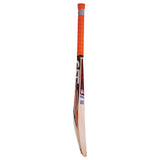 CA PLUS 10000 ENGLISH WILLOW CRICKET BAT
