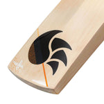 DSC XLITE 25 ENGLISH WILLOW CRICKET BAT 24